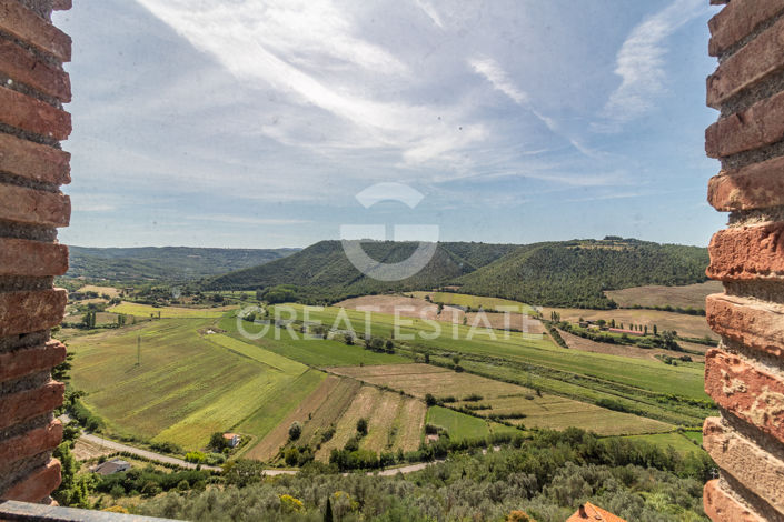 Image No.60-11 Bed Country House for sale