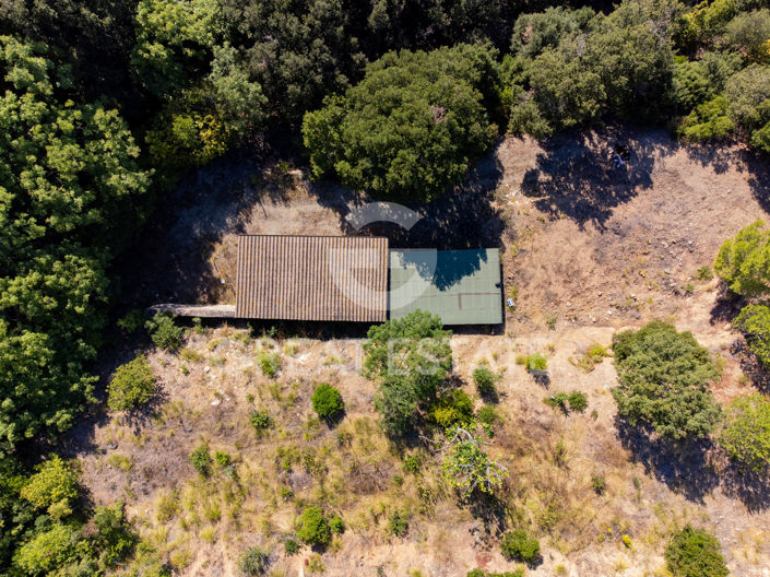 Image No.6-1 Bed Country House for sale