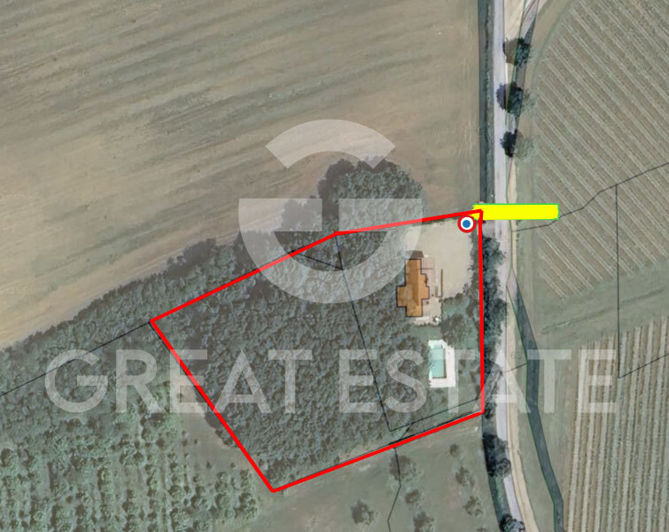 Image No.1-floorplan-1