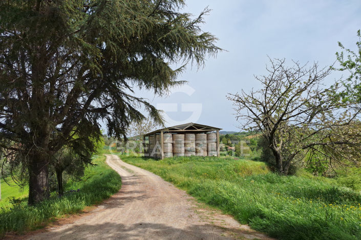 Image No.5-4 Bed Country House for sale