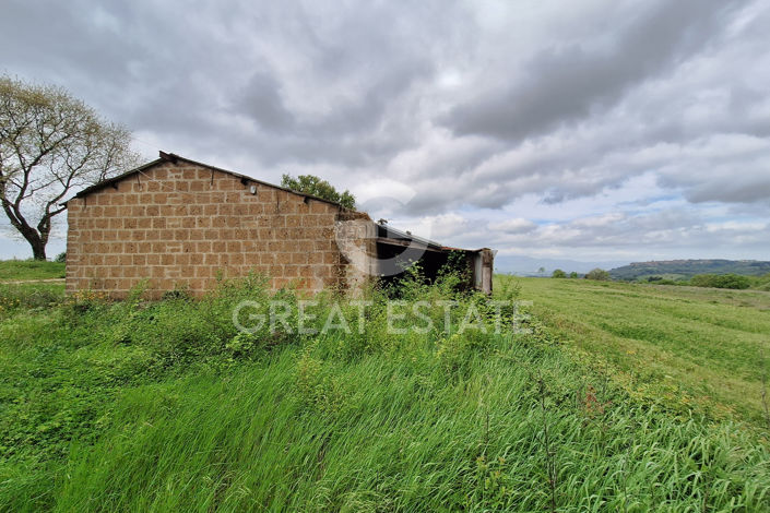 Image No.4-3 Bed Country House for sale