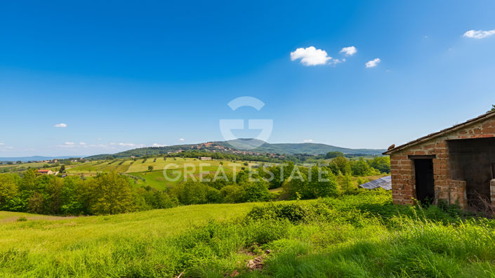 Image No.6-Maison de campagne de 3 chambres à vendre à Montegabbione