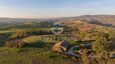 Photo_2