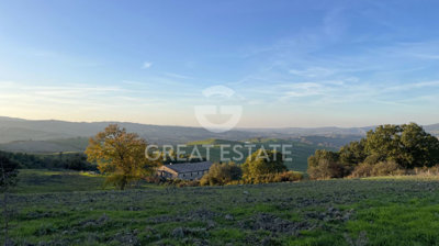 Photo_5