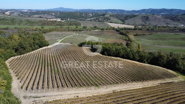 Image No.19-4 Bed Country House for sale