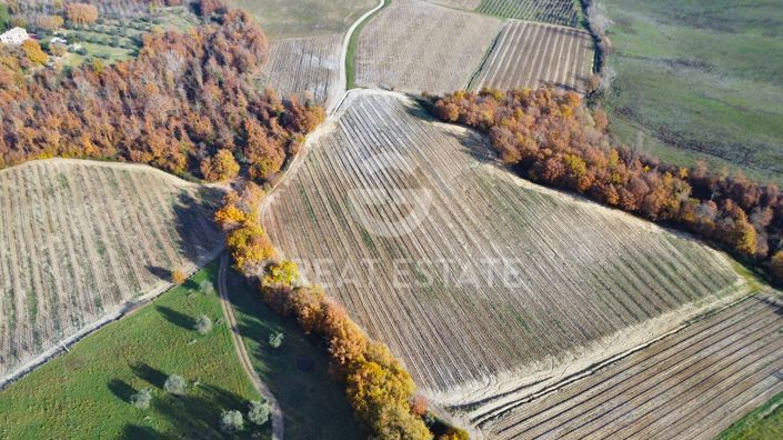 Image No.20-4 Bed Country House for sale