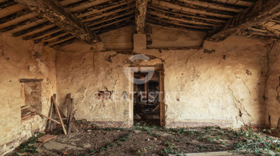 Photo_2