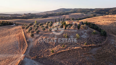 Photo_3