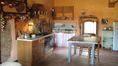 Photo_8