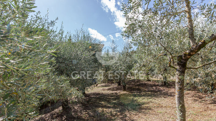 Image No.26-3 Bed Country House for sale