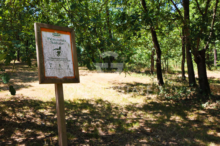 Image No.40-20 Bed Country House for sale