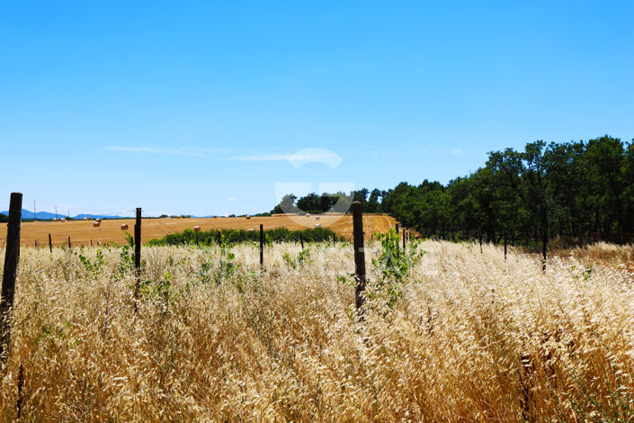 Image No.48-20 Bed Country House for sale