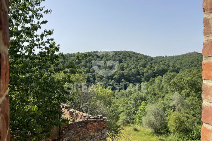 Image No.16-4 Bed Country House for sale