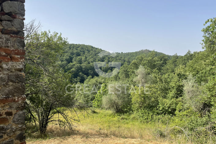 Image No.18-4 Bed Country House for sale