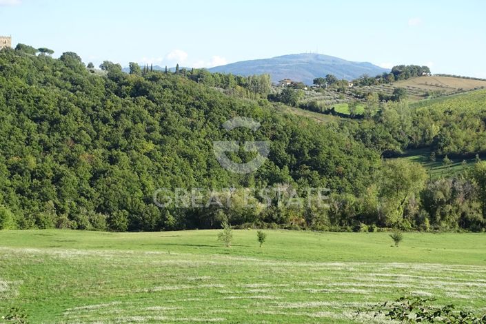 Image No.6-Country House for sale