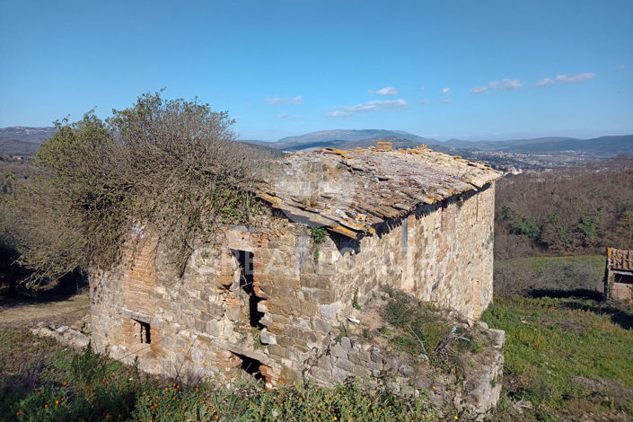 Image No.5-1 Bed Country House for sale