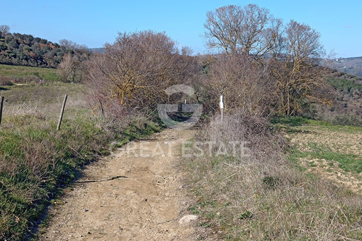 Image No.7-1 Bed Country House for sale