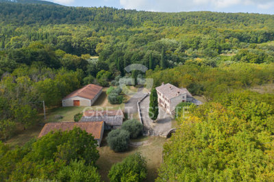 Photo_10
