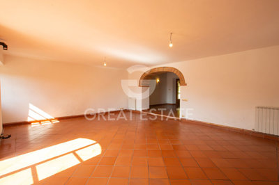 Photo_5