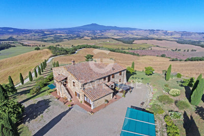 Photo_7