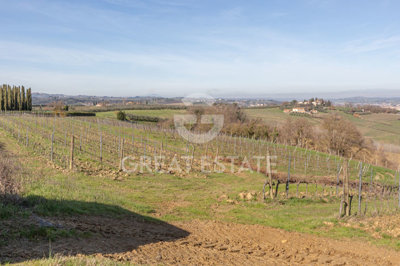 Photo_15