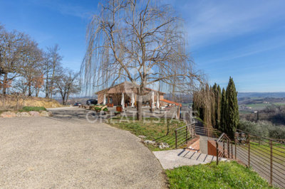 Photo_3