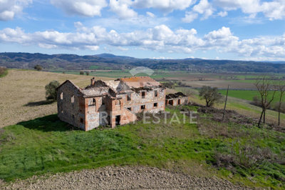 Photo_6