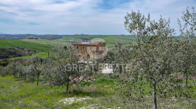Photo_2