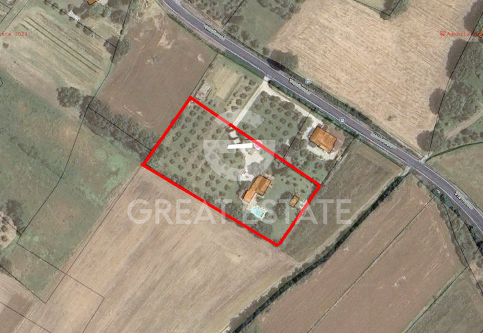 Image No.2-floorplan-2