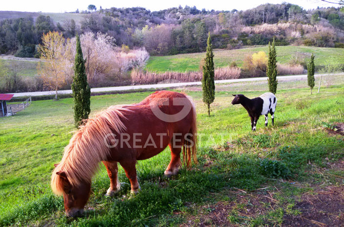 Image No.18-8 Bed Country House for sale