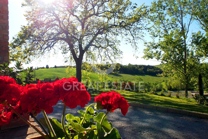 Image No.24-8 Bed Country House for sale