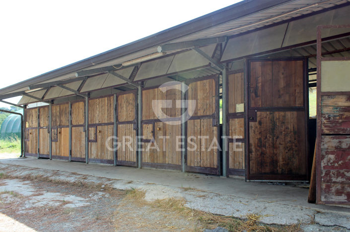 Image No.29-8 Bed Country House for sale