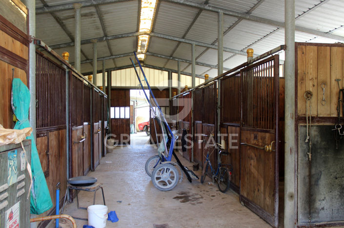 Image No.31-8 Bed Country House for sale