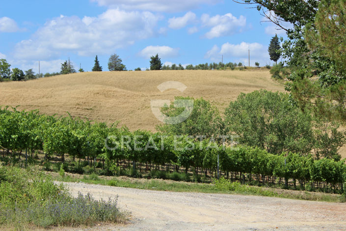 Image No.33-8 Bed Country House for sale