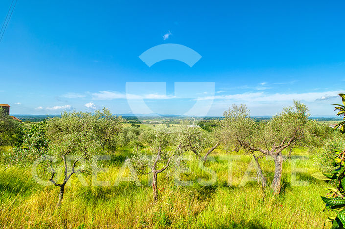 Image No.22-4 Bed Country House for sale