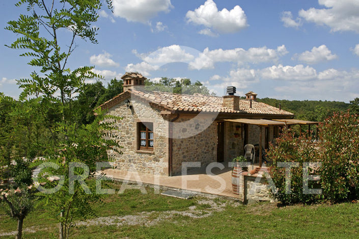 Image No.13-Ferme de 12 chambres à vendre à Citta della Pieve