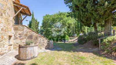 Photo_15