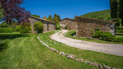 Photo_13