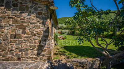 Photo_14