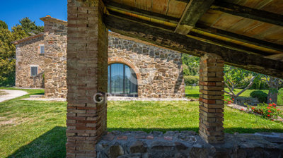 Photo_15