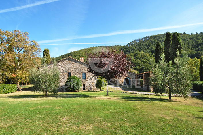 Image No.8-Maison de campagne de 6 chambres à vendre à Sarteano