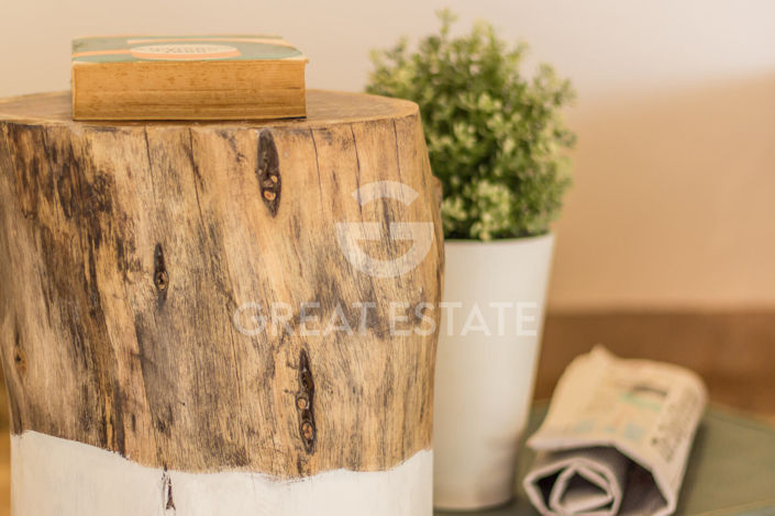 Image No.45-5 Bed Country House for sale