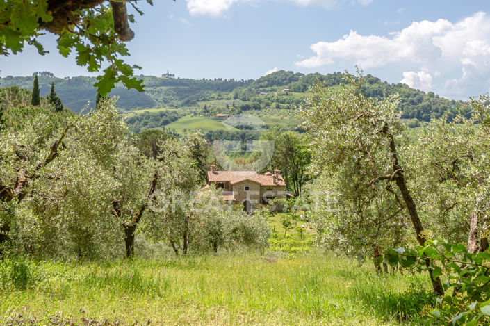 Image No.3-4 Bed Country House for sale