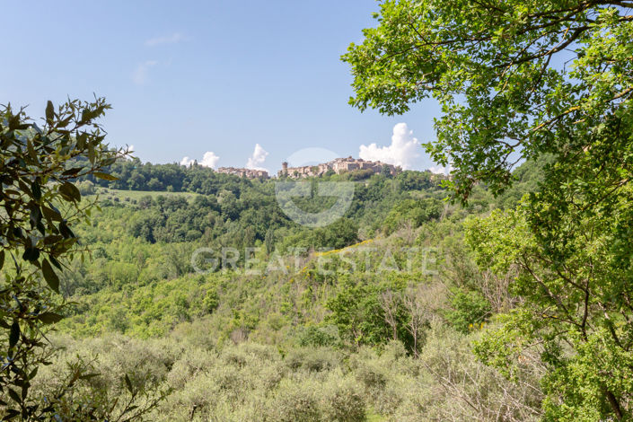 Image No.38-4 Bed Country House for sale