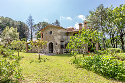 Photo_4
