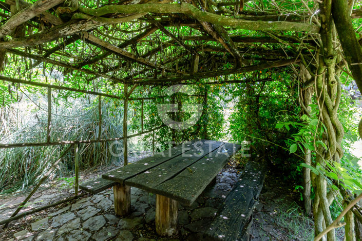 Image No.48-4 Bed Country House for sale