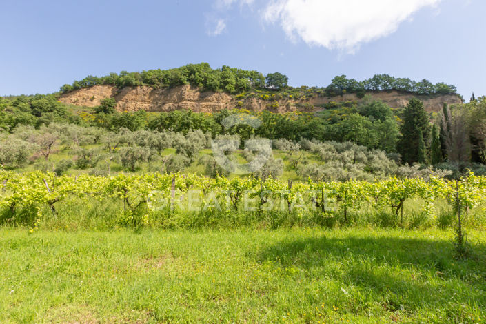 Image No.53-4 Bed Country House for sale