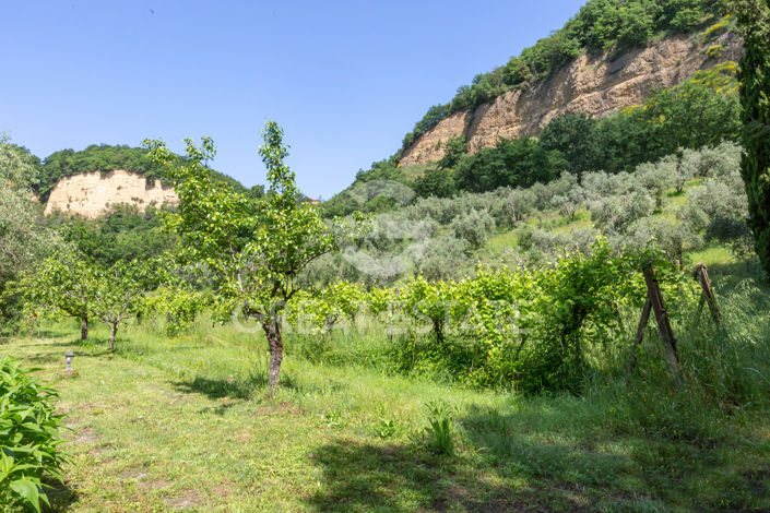 Image No.54-4 Bed Country House for sale