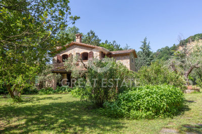 Photo_8
