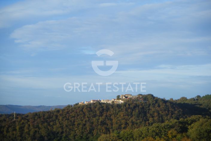 Image No.24-12 Bed Country House for sale